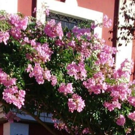 Вілла Casa Bignonia Salteras Екстер'єр фото