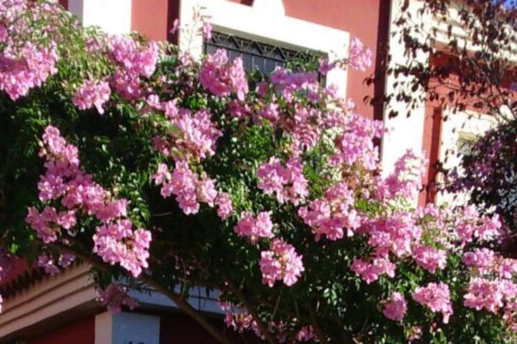 Вілла Casa Bignonia Salteras Екстер'єр фото